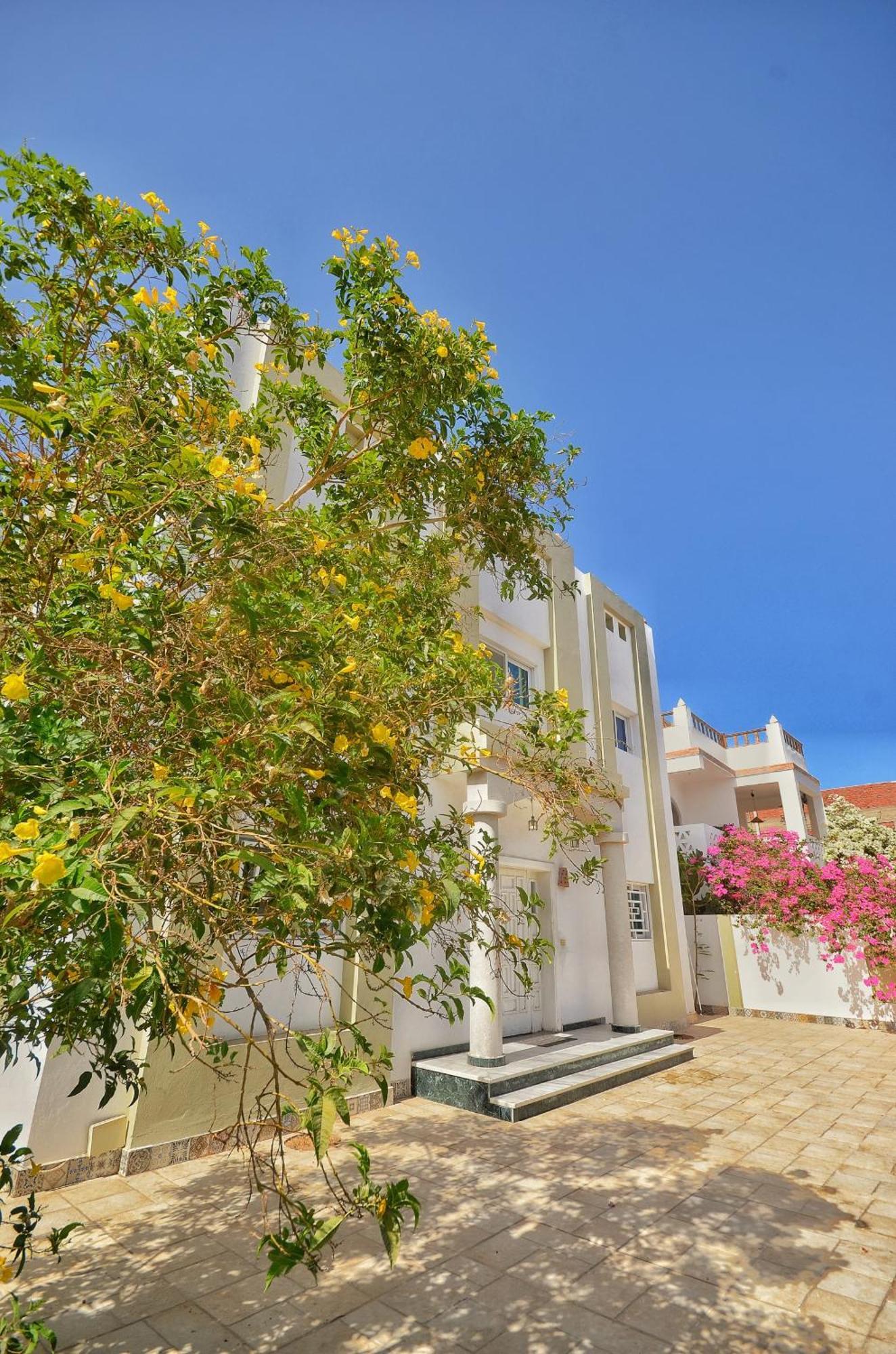 Elite Residence דהב מראה חיצוני תמונה