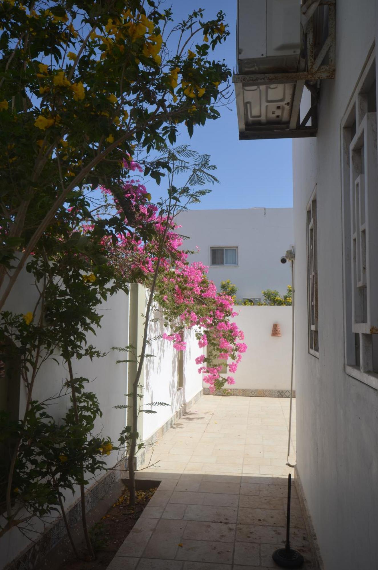 Elite Residence דהב מראה חיצוני תמונה
